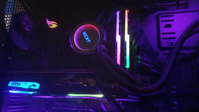 Purple Paradise