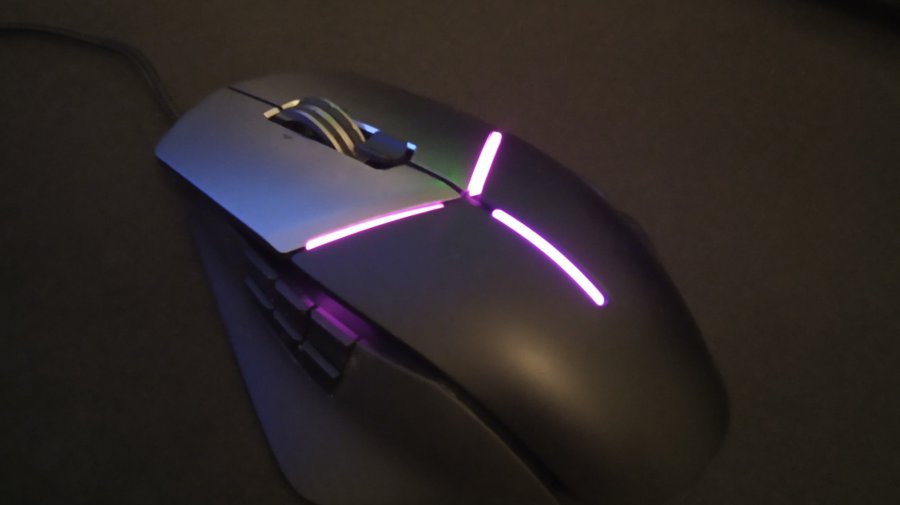 Axis - Purple Paradise