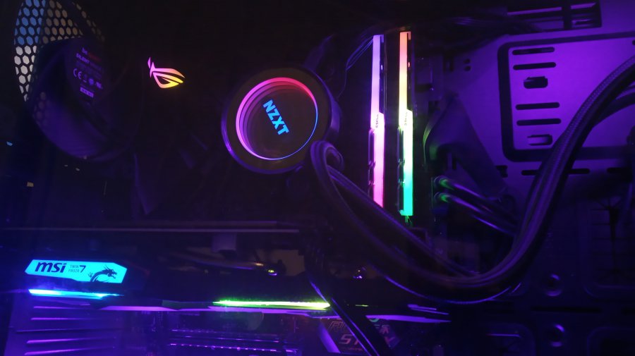 Axis - Purple Paradise